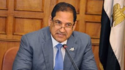 محافظ الغربية: توريد 140 ألفا و665 طن قمح للصوامع