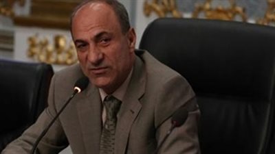 برلماني يطالب بإعادة النظر في قرار تخفيض مساحات الأرز بالدقهلية