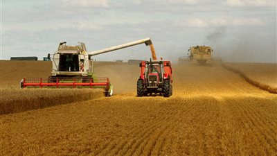 الزراعة: توريد 2.4 مليون طن قمح على مستوى الجمهورية