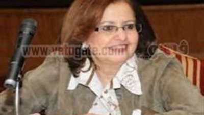 منى البرادعى : سياسات 