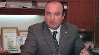 برزى: سحب الأراضى من الشركات يقلل فرص الاستثمار