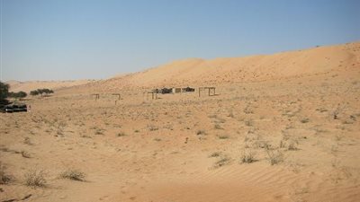 تقرير: مصر بلد الصحراء تستورد الرمال