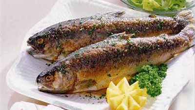 خبيرة تغذية: الأسماك منشط قوى للخلايا العصبية للمخ