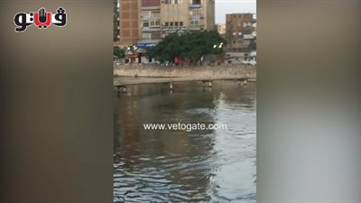 لحظة انتحار شاب بالقفز في بحر مويس بالشرقية