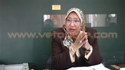 التنظيم والإدارة: توفير 6 آلاف درجة وظيفية لمصلحة الجمارك