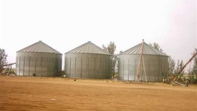 توريد 78 ألف طن قمح بشون وصوامع القليوبية