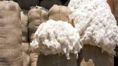 المرشدي: 2.5% نسبة استخدام القطن طويل التيلة بالمصانع