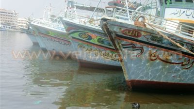 تزايد كميات 