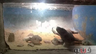 بالصور.. حديقة الأسماك مهجورة في أول أيام عيد الفطر