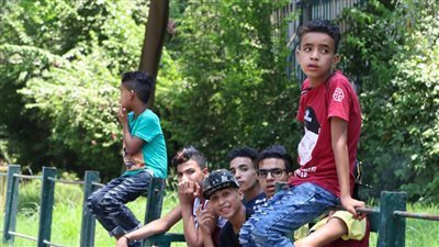 بالصور.. أطفال يدخنون السجائر بحديقة حيوان الجيزة