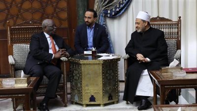 شيخ الأزهر: نسعى إلى تحقيق السلم المجتمعي ومواجهة التطرف في أفريقيا