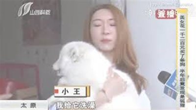 فتاة تكتشف أن كلبها ثعلب بعد عام (فيديو)