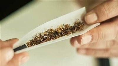 تجديد حبس مسجل خطر متهم بتجارة الحشيش في الجيزة