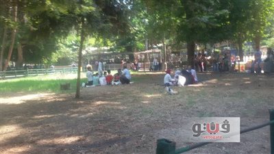 بالصور.. زوار حديقة الحيوان يفترشون الأرض لتناول وجبة الإفطار