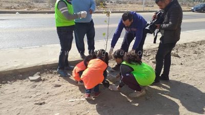 اتحضر للاخضر| 