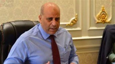 برلماني: تذليل مشاكل المستثمرين بالمنيا يحقق طفرة في فرص العمل