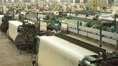 نائب يطالب ببيع الأراضي غير المستغلة لإعادة إحياء المصانع المتعثرة