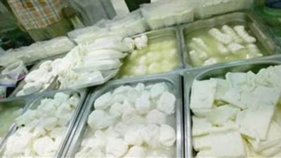 ضبط ٣ أطنان جبنة بيضاء فاسدة داخل مصنع ألبان بزفتى