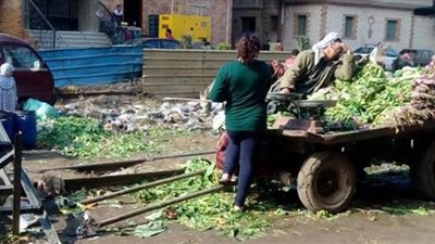 برلماني يطالب هيئة السكك الحديدية بحماية أملاكها من التعدي