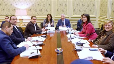 وزيرة التعاون الدولي: التنسيق مع مجلس النواب لتعزيز دور الدبلوماسية البرلمانية 