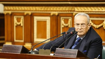 أبو شقة: الإرهاب صناعة عقول شريرة مملوءة بالحقد