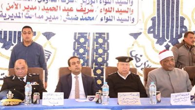 القودة تنهي صراع عائلتين في قنا بسبب الثأر | صور