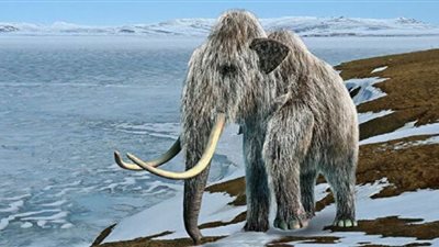 اكتشاف سبب انقراض الماموث