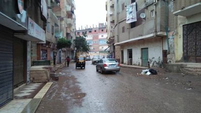 سقوط أمطار خفيفة على المنوفية | صور