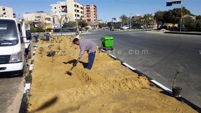 الوادي الجديد تدشن مبادرة 