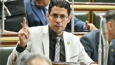 حساسين لوزير الزراعة: البذور والتقاوي بتيجي من الوزارة على البيوت