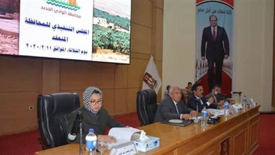 محافظ الوادى الجديد يكلف بحصر الأسر الأولى بالرعاية
