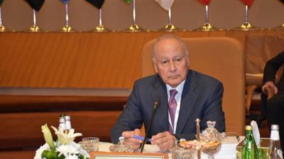 أبو الغيط ينتفض أمام مجلس الأمن: الخطة الأمريكية محسومة مقدما لإسرائيل