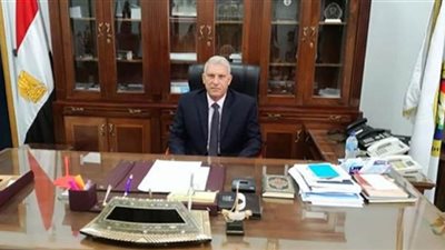 المالية: 15,3 مليار جنيه ضرائب ورسوم السيارات الأوروبية خلال 13 شهرًا