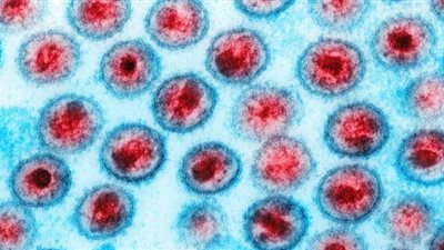 أطباء يحذرون من فيروس “يارا”: غامض ولا دواء له.. يطالبون بمنع استيراد الخضراوات.. التقليل من تناول الأسماك.. ومنع المضادات الحيوية