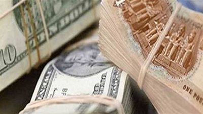 31 قرشا تراجعا للدولار أمام الجنيه منذ بداية يناير 2020