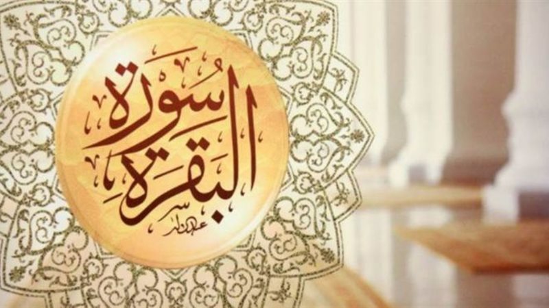فيتو