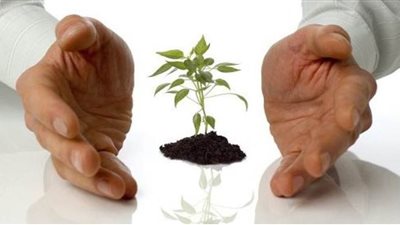 خبراء يطالبون بالتغلب على مشكلات المشروعات الصغيرة واستغلال القانون الجديد في زيادة الصادرات