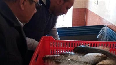 إعدام كميات من اللحوم والأسماك والدواجن الفاسدة بالوادى الجديد