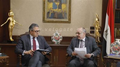 تعاون ثلاثي بين مصر وقبرص واليونان لمكافحة الاتجار في الآثار