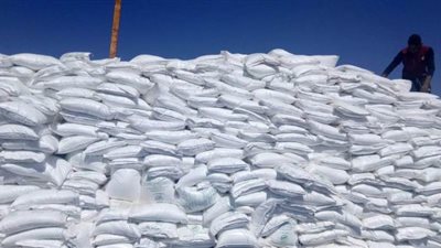 التحفظ على 20 طن ملح فاسد بمصنع غير مرخص في الشرقية | صور