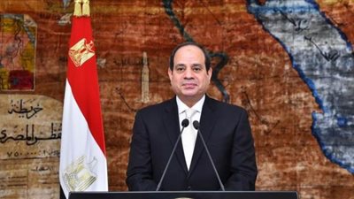 السيسي يكلف باستيعاب زيادة استهلاك الكهرباء وتحسين الخدمة