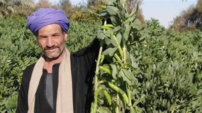 زراعة الوادي الجديد تعلن زيادة المساحات المزروعة بالفول والبصل بباريس | صور