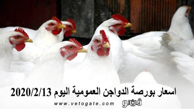 فيتو