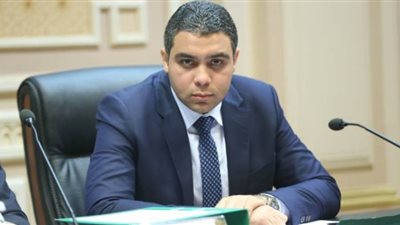 نائب يطالب بإطلاق حملة لإنهاء الخصومات الثأرية