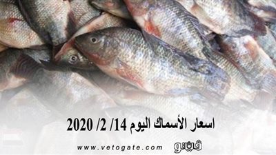 اسعار الأسماك اليوم 14/ 2/ 2020
