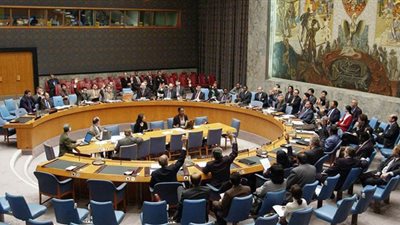 مصر تطالب بحصول أفريقيا على حق 