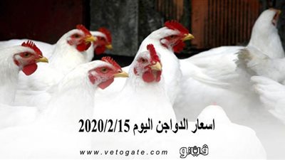 اسعار الدواجن اليوم 2020/2/15