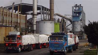 توقعات باستلام 2 مليون طن بنجر سكر من المزارعين.. والبداية 20 فبراير 