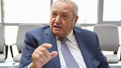 نائب: التشريع ينظم عمل نواب المحافظين