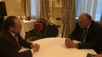 سامح شكري يناقش مع نظيره النمساوي مكافحة الهجرة غير الشرعية